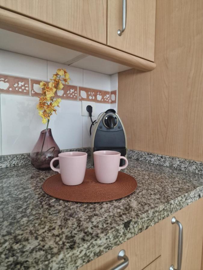 Picasso Apartment مالقة المظهر الخارجي الصورة